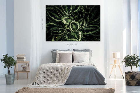 Canvas Print -  Tropical Green Leafs #E0821