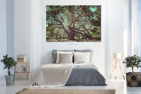 Canvas Print -  Old Angel Oak Tree On John's Island, South Carolina #E0987