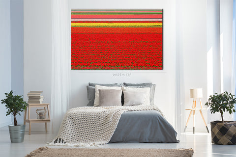 Canvas Print -  Colorful Tulip Field #E0737