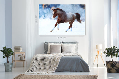 Impression sur toile - Cheval en hiver #E0898