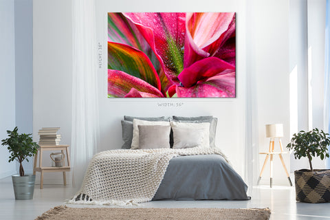 Canvas Print - Crimson Bromeliad Flower #E0670