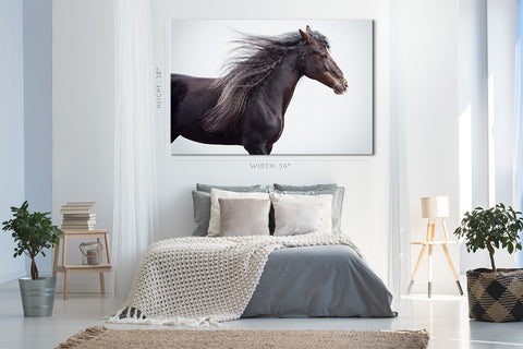 Impression sur toile - Portrait de cheval de trait #E0918