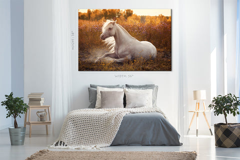 Impression sur toile - Poney gallois blanc dans le champ en fleurs #E0919