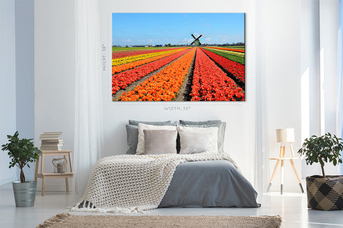 Impression sur toile - Tulipes colorées #E0750