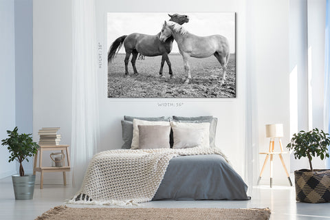 Canvas Print -  Two European Wild Horses #E0943