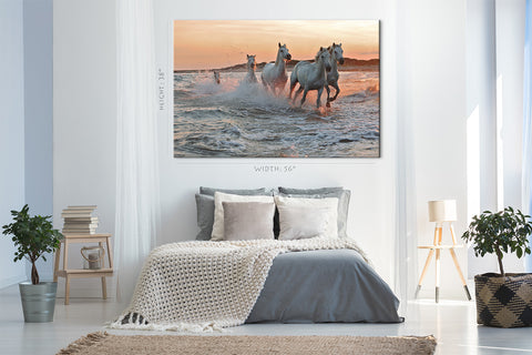 Impression sur toile - Courir des chevaux sur l'eau au coucher du soleil #E0925