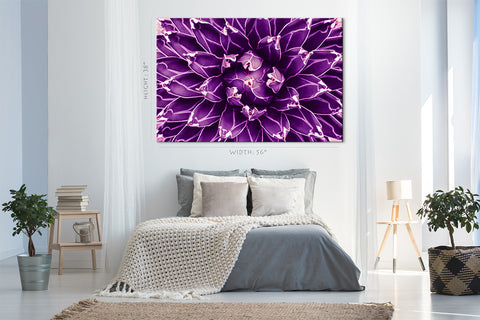 Canvas Print -  Agave Cactus, Violet Toned #E0647