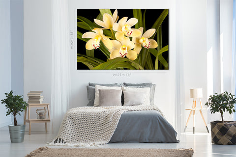 Canvas Print -  Beautiful Yellow Orchids #E0679