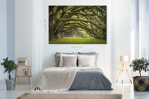 Impression sur toile - Oaks Avenue Charleston #E0958