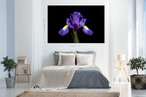 Impression sur toile - Iris violet #E0681