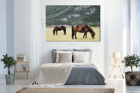 Canvas Print -  Two Horse In The Field #E0907