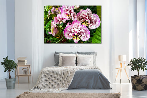 Impression sur toile - Orchidée blanche et violette #E0678